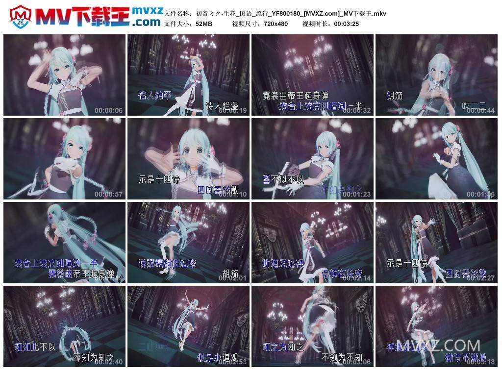 初音ミク-生花_国语_流行_YF800180